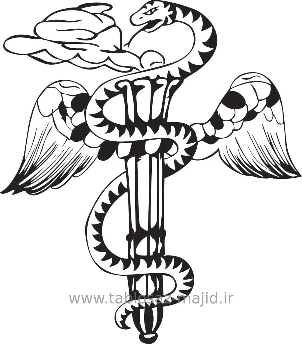 وکتور دکور طرح گل و گیاه