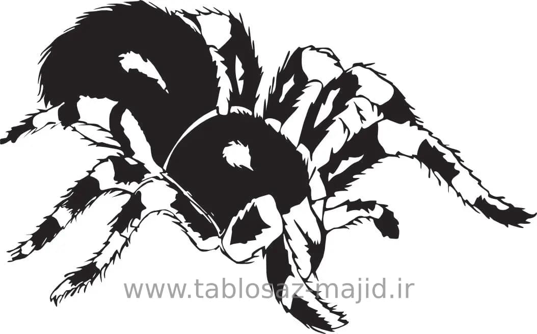 وکتور دکور طرح حیوانات