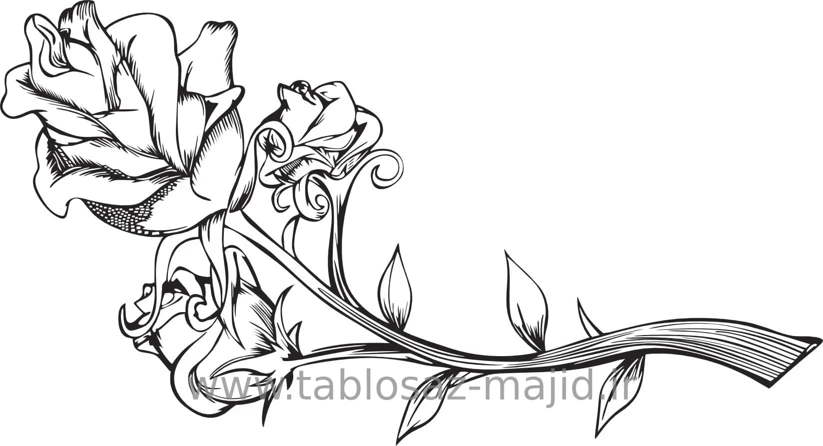 وکتور دکور طرح گل و گیاه